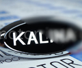 Светодиодный шильдик Sal-Man с белой надписью Kalina для Лада Калина 2_0
