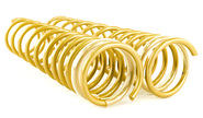 Пружины холодной навивки задней подвески ss20 gold progressive (переменный шаг) для ВАЗ 2108-21099, 2113-2115