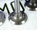Комплект клапанов впускных и выпускных Herzog для ВАЗ 2101-2107, Лада 4х4, Шевроле Нива_17