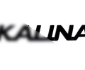 Черный лаковый шильдик с названием модели на крышку багажника для Лада Калина, Калина 2_4