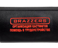 Крышка кнопки аварийной сигнализации Brazzers для Лада Приора с 2013 г.в._0