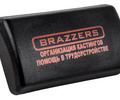 Крышка кнопки аварийной сигнализации Brazzers для Лада Приора с 2013 г.в._7