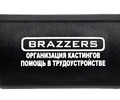 Крышка кнопки аварийной сигнализации Brazzers белый для Лада Приора с 2013 г.в._0