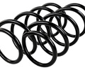 Пружины передней подвески BYSUN PARTS для Лада Ларгус_0