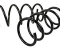 Пружины передней подвески BYSUN PARTS для Лада Ларгус_4