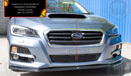 Защитная сетка решетки переднего бампера Русская Артель для subaru levorg vm 2014-2017 г.в.