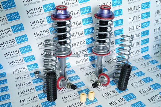 Подвеска SS20 Стандарт в сборе на Лада Калина, Калина 2, Гранта_1