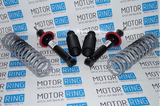 Комплект масляной задней подвески в сборе «KYB Premium» (Каяба) для ВАЗ 2110-2112_1