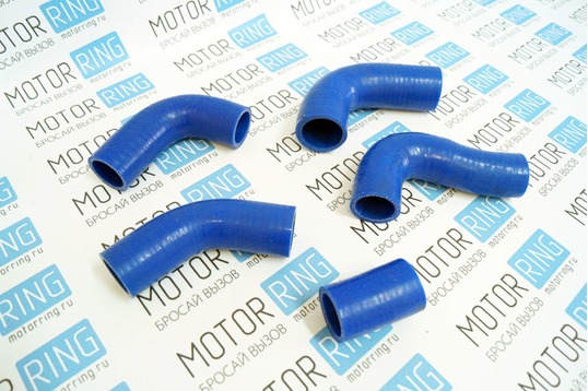 Патрубки радиатора силиконовые синие для автомобилей с двигателем 406_1
