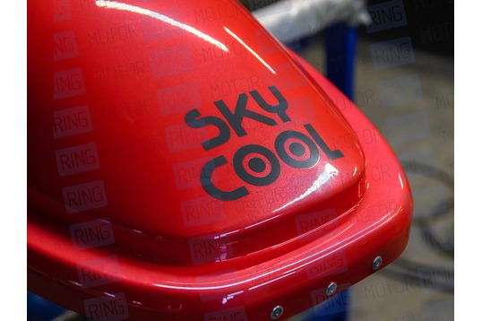 Лыжный автобокс Sky Cool EuroLock