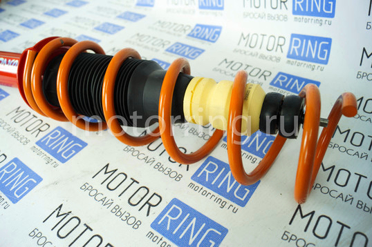 Комплект подвески SS20 Спорт в сборе с занижением 30 мм на Лада Калина, Калина 2, Гранта