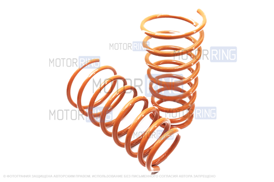 Пружины задней подвески Технорессор с занижением 50мм для Kia Spectra_1