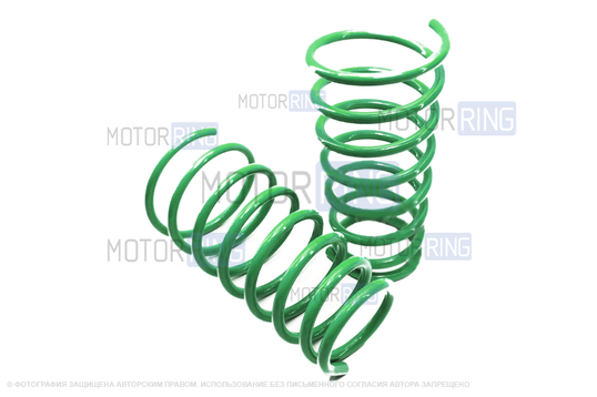 Пружины задней подвески Технорессор с занижением 70мм для Kia Spectra_1