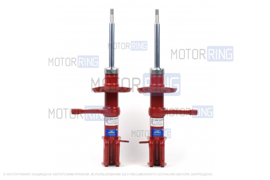 Стойки газо-масленные передние DEMFI ПРЕМИУМ для Лада Калина 2 Кросс, Гранта FL Кросс_1