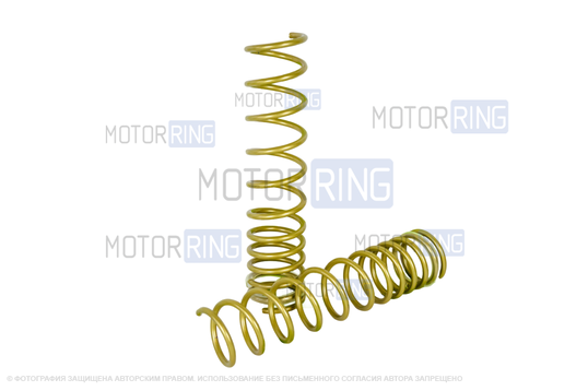 Пружины холодной навивки задней подвески SS20 Gold Progressive (переменный шаг) для ВАЗ 2111, Приора универсал, Калина 2 универсал
