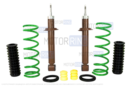 Масляные амортизаторы задней подвески АСТОН с занижением 70мм в сборе для Лада Приора_1