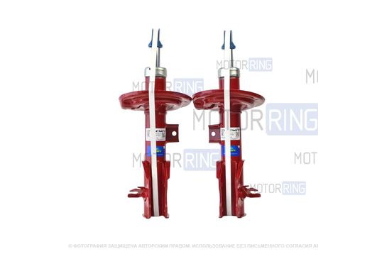 Стойки передние газомасляные DEMFI Премиум для Лада Веста NG_1