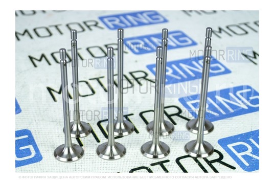 Комплект впускных клапанов Federal Reserve Black Edition для Лада Веста, Икс Рей_1