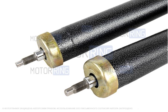 Задние амортизаторы саморегулирующиеся Технологии Будущего с буферами для Лада Веста, Веста SW