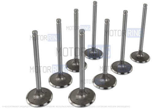 Комплект клапанов BESTAUTO под двигатель K7M для 8-клапанных Лада Ларгус_1