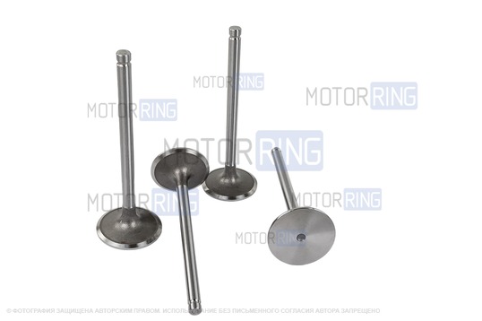Комплект клапанов BESTAUTO под двигатель K7M для 8-клапанных Лада Ларгус