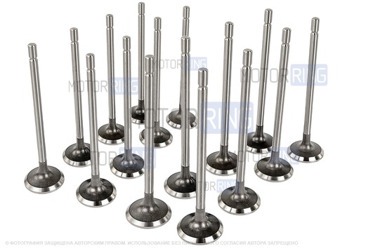 Комплект впускных и выпускных клапанов BESTAUTO под двигатель K4M для 16-клапанных Лада Ларгус_1