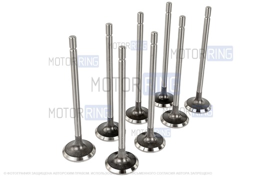 Комплект впускных и выпускных клапанов BESTAUTO под двигатель K4M для 16-клапанных Лада Ларгус