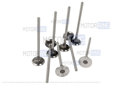 Комплект впускных и выпускных клапанов BESTAUTO под двигатель K4M для 16-клапанных Лада Ларгус