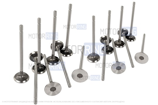 Комплект впускных и выпускных клапанов BESTAUTO под двигатель K4M для 16-клапанных Лада Ларгус