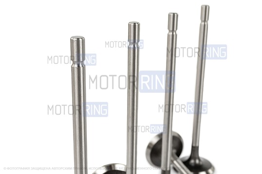 Комплект впускных и выпускных клапанов BESTAUTO под двигатель K4M для 16-клапанных Лада Ларгус