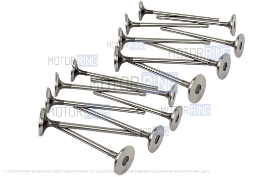 Комплект впускных и выпускных клапанов BESTAUTO под двигатель K4M для 16-клапанных Лада Ларгус