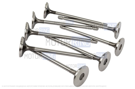 Комплект впускных и выпускных клапанов BESTAUTO под двигатель K4M для 16-клапанных Лада Ларгус