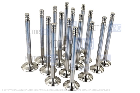 Комплект клапанов для 16-клапанных ВАЗ 2110-2112, Лада Приора, Калина, Гранта_1