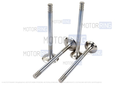 Комплект клапанов для 16-клапанных ВАЗ 2110-2112, Лада Приора, Калина, Гранта