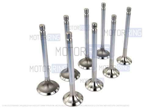 Комплект клапанов для ВАЗ 2101-2107, Лада 4х4 Нива 21213, 21214, 2131, Шевроле/Лада Нива 2123_1
