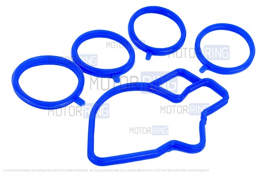 Комплект прокладок впускного модуля CS20 Profi 21124 для ВАЗ 2110-2112, 2113-2115, Лада Калина, Приора_1