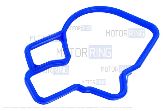 Комплект прокладок впускного модуля CS20 Profi 21124 для ВАЗ 2110-2112, 2113-2115, Лада Калина, Приора