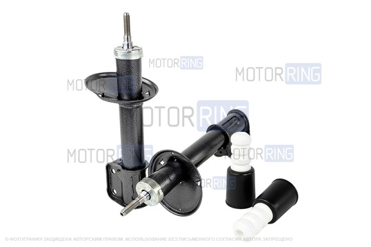 Саморегулирующиеся стойки с буферами и защитными кожухами и амортизаторы Технологии Будущего для Лада Ларгус Кросс