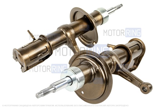 Стойки передние масляные АСТОН с занижением 70 мм для ВАЗ 2108-21099, 2113-2115_1