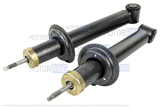 Задние амортизаторы саморегулирующиеся Технологии Будущего для ВАЗ 2110-2112, Лада Гранта, Гранта FL, Приора, Калина, Калина 2_1