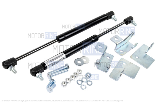 Газовые упоры багажника для Лада Гранта седан, Гранта FL седан, Датсун он-ДО_1