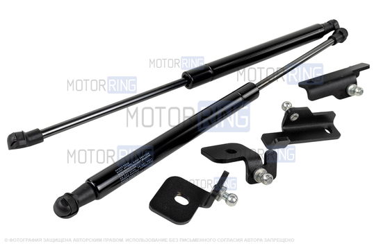 Амортизаторы (упоры) капота АвтоУпор для Лада Калина_1