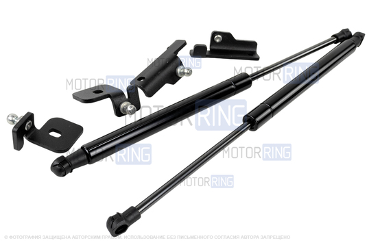 Амортизаторы (упоры) капота АвтоУпор для Лада Калина