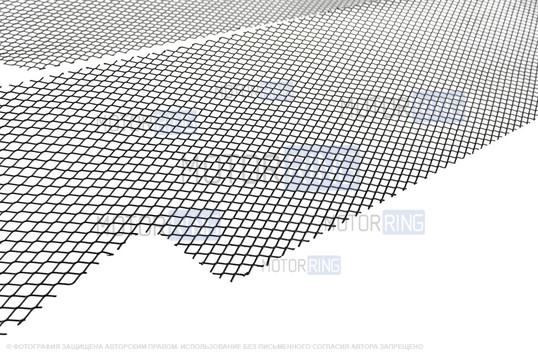 Комплект защитных сеток радиатора AutoMax для Лада Искра, Искра SW Кросс