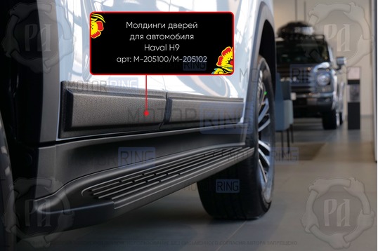 Молдинги на двери Русская Артель для Haval H9 с 2024 г.в.