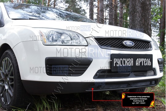 Защитная сетка решетки переднего бампера Русская Артель для Ford Focus 2 2005-2008 г.в.