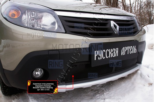 Защитная сетка решетки переднего бампера Русская Артель для Renault Sandero Stepway 2009-2013 г.в.