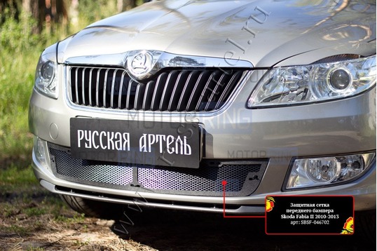 Защитная сетка решетки переднего бампера Русская Артель для Skoda Fabia 2 2010-2013 г.в.