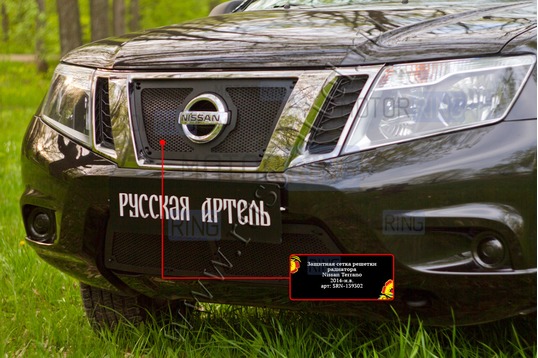 Защитная сетка решетки радиатора Русская Артель для Nissan Terrano 2014-2015 г.в._1