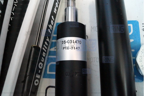 Патроны передней подвески «BILSTEIN» (Бильштайн), масляные для Лада Гранта